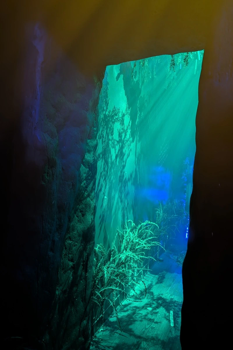 Explore Our Escape Room Experiences 5